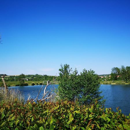 Gite A La Campagne - Etat Nature Magnieres Exterior foto