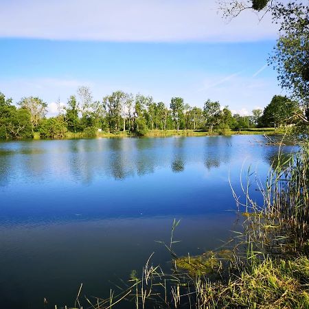 Gite A La Campagne - Etat Nature Magnieres Exterior foto
