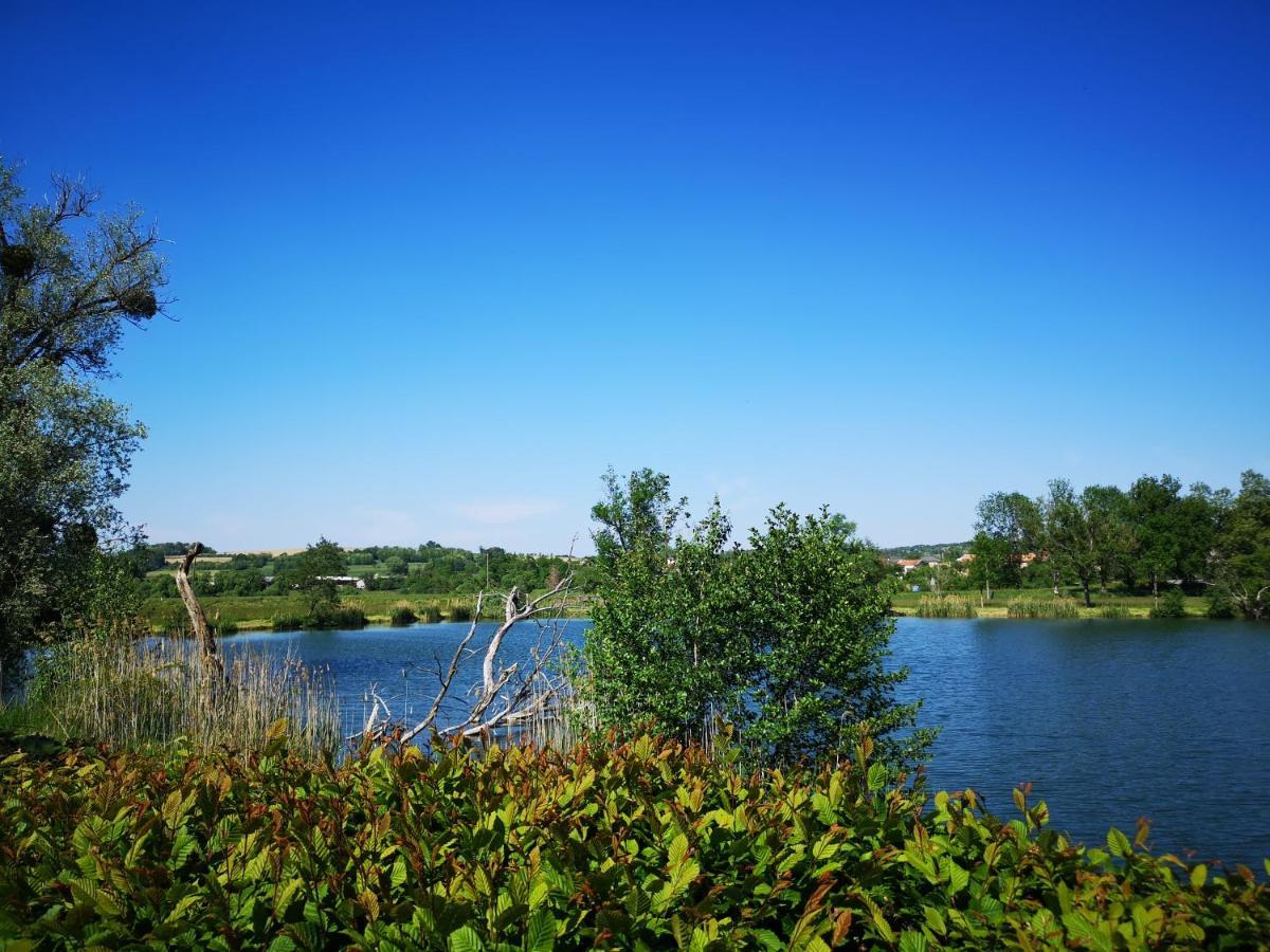 Gite A La Campagne - Etat Nature Magnieres Exterior foto